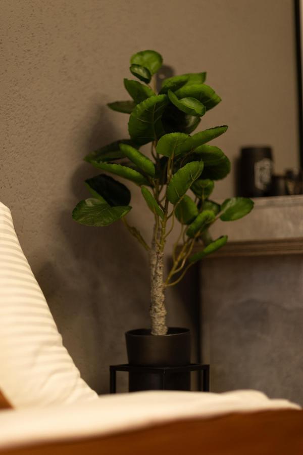 Etern Stays - Studio Apartment พริสตีนา ภายนอก รูปภาพ
